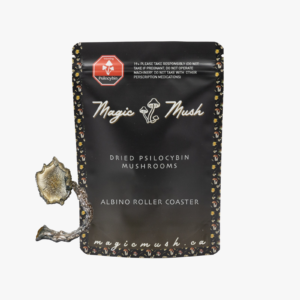 Albino Roller Coaster dried magic mushrooms