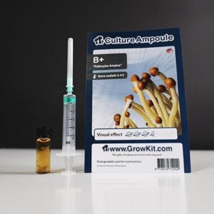 B Magic Mushroom Spores