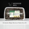 Cambodian Magic Mushroom Grow Kit