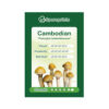 Cambodian Psilocybe Cubensis spore print