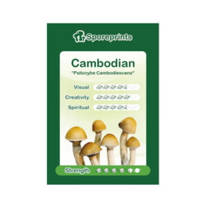 Cambodian Psilocybe Cubensis spore print