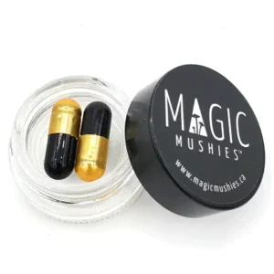 Magic Mushroom Nootropic Capsules Godzilla Snacks 750mg