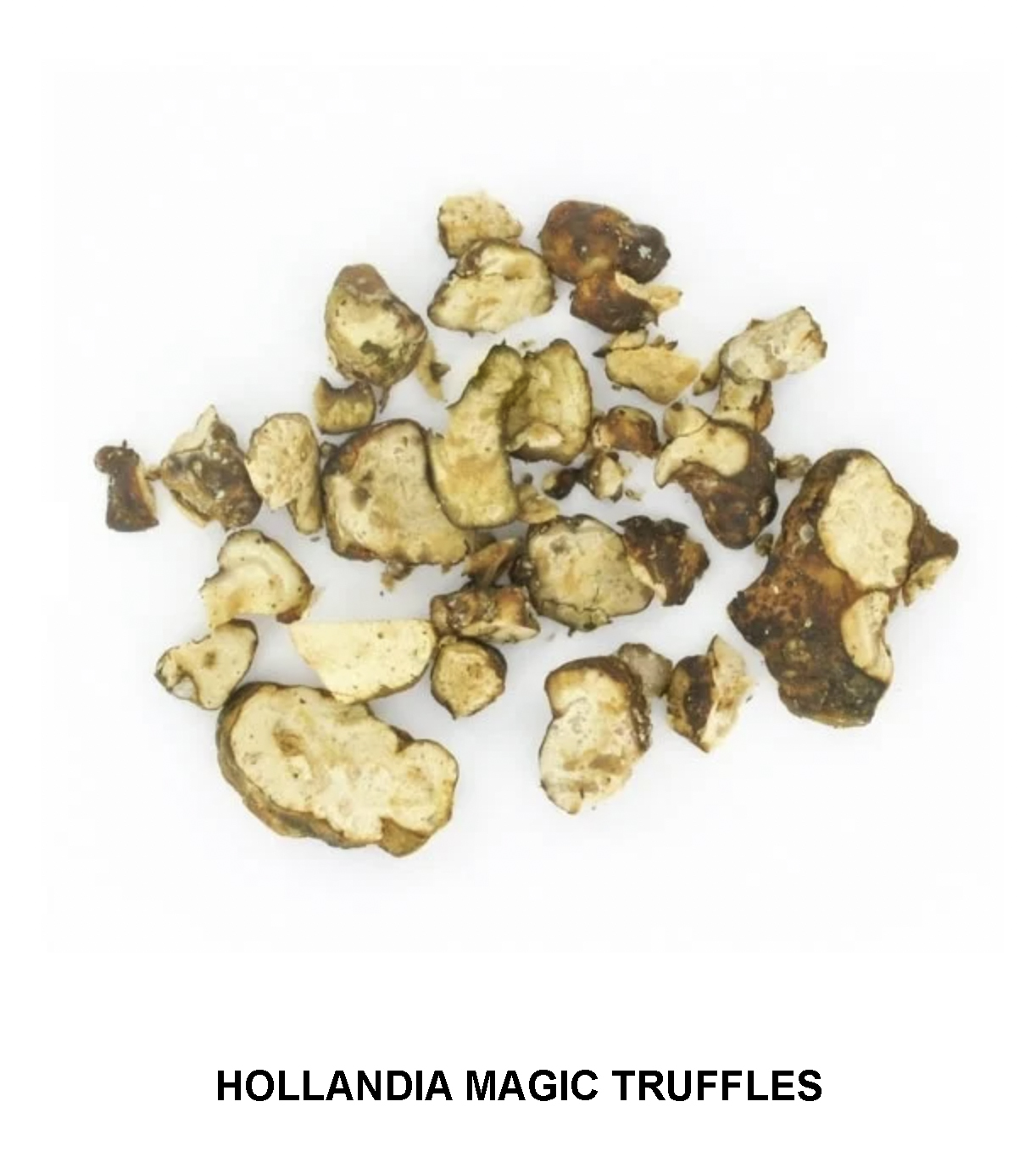 HOLLANDIA-MAGIC-TRUFFLES-7.jpg