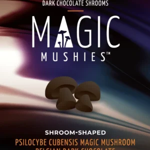 Belgian Dark Chocolate Shrooms 2000mg