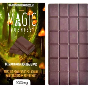 Magic Mushroom Belgian Dark Chocolate Bar