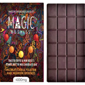 Magic Mushroom Toffee Chocolate Bar