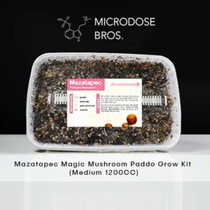 Mazatapec Magic Mushroom Grow Kit