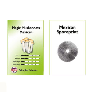 Magic Mushroom Mexican Sporeprints
