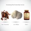 Paul Stamets Stack Formula