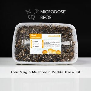 Thai Magic Mushroom Grow Kits