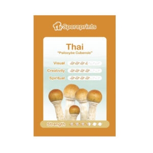 Thai Sporeprint Magic Mushrooms