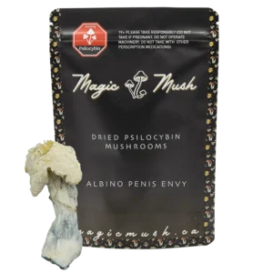 Albino Penis Envy Magic Mushrooms