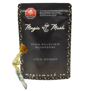 Gold Member Dried Magic Mushrooms