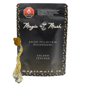 Golden Teacher Magic Mushrooms