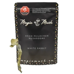 White Rabbit Dried Magic Mushrooms